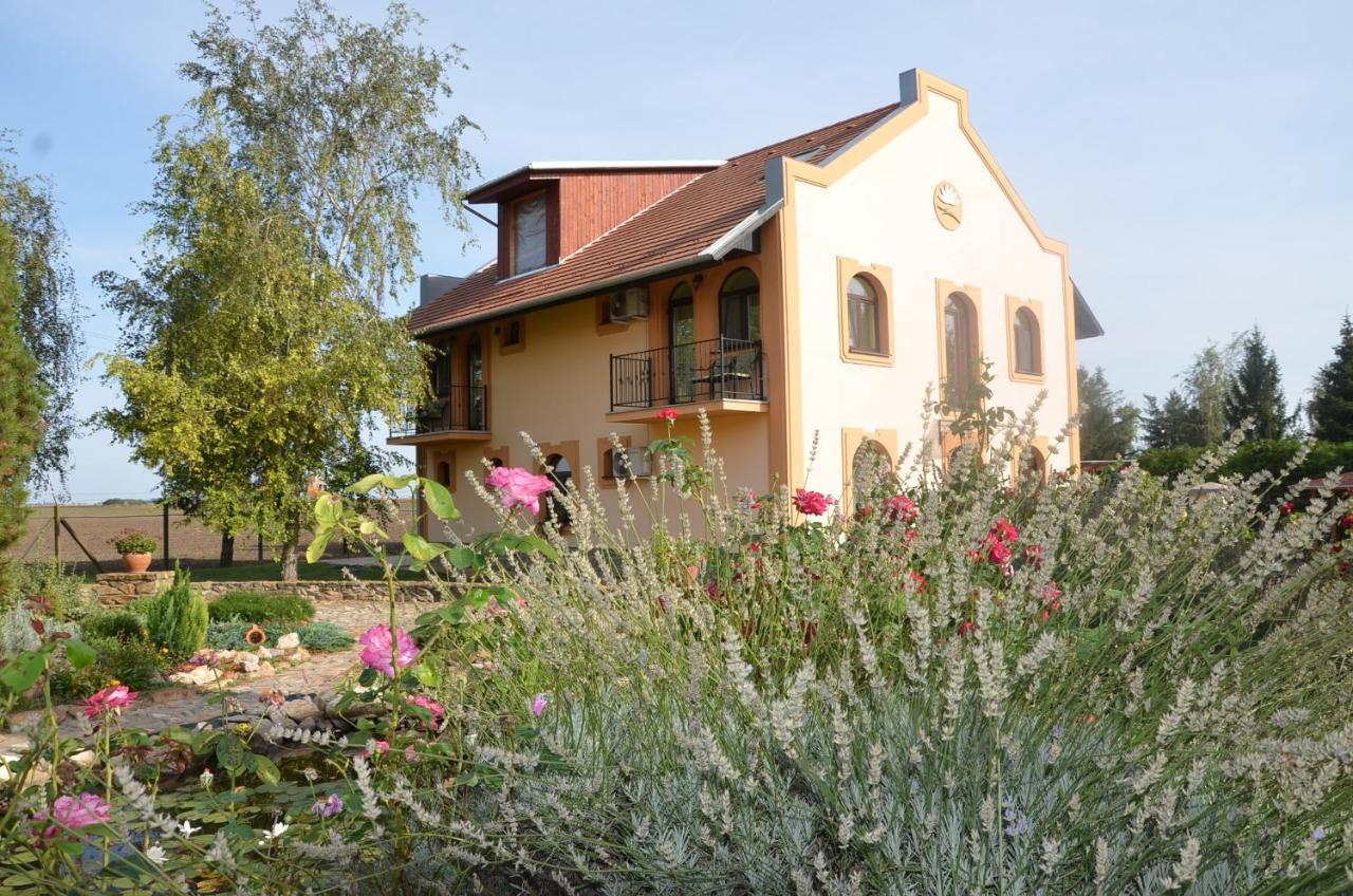 Garden Vendeghaz *