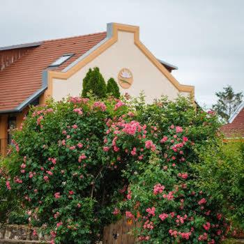 Bed & Breakfast Garden Vendeghaz